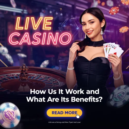 N8 Casino App Game Collection - Diverse Gaming Options